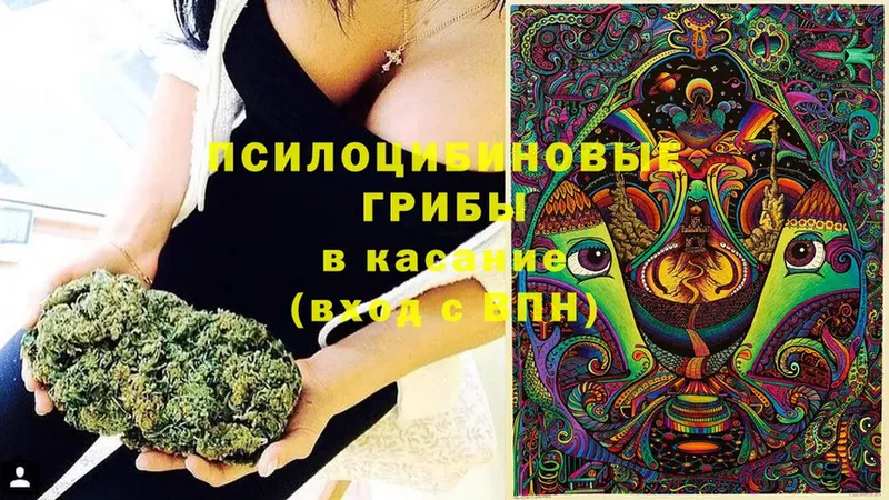 Галлюциногенные грибы GOLDEN TEACHER  кракен вход  это телеграм  Канаш 